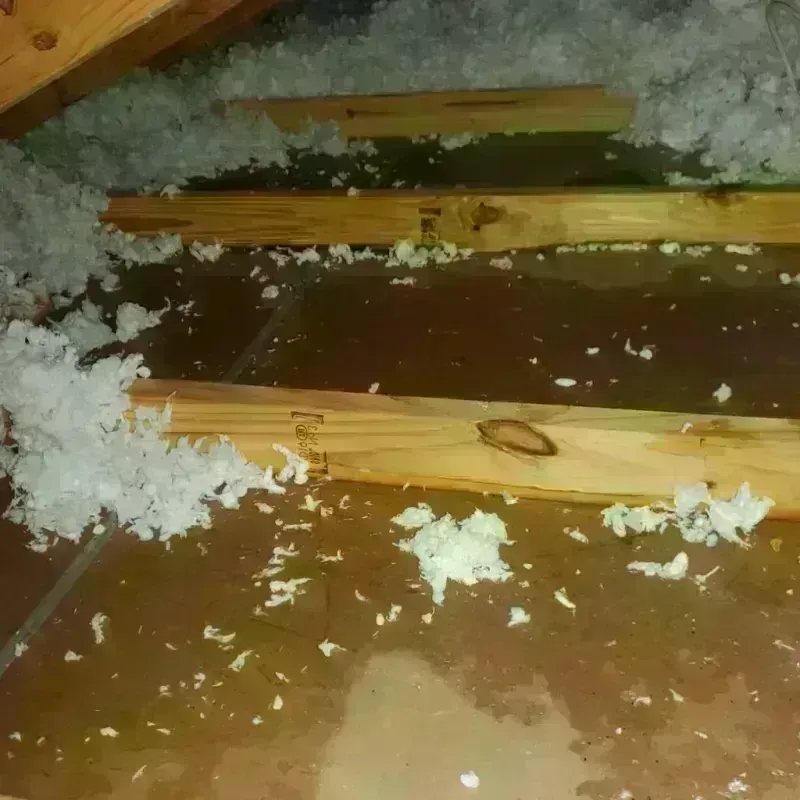 Attic Water Damage in Gloucester County, VA