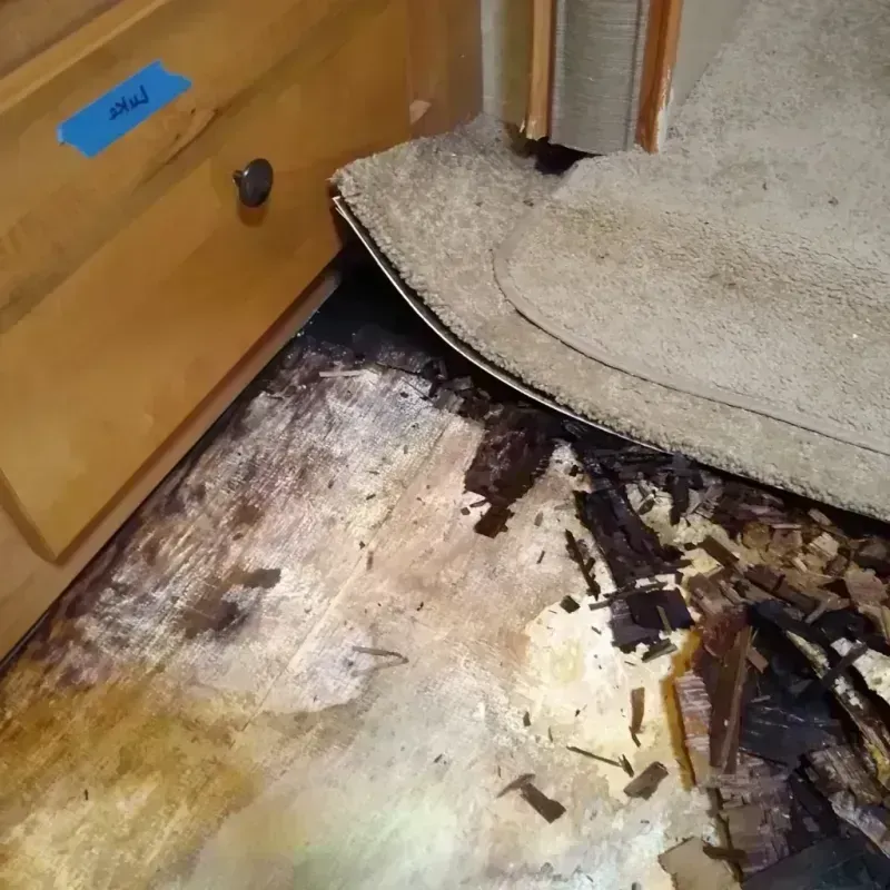 Wood Floor Water Damage in Gloucester County, VA